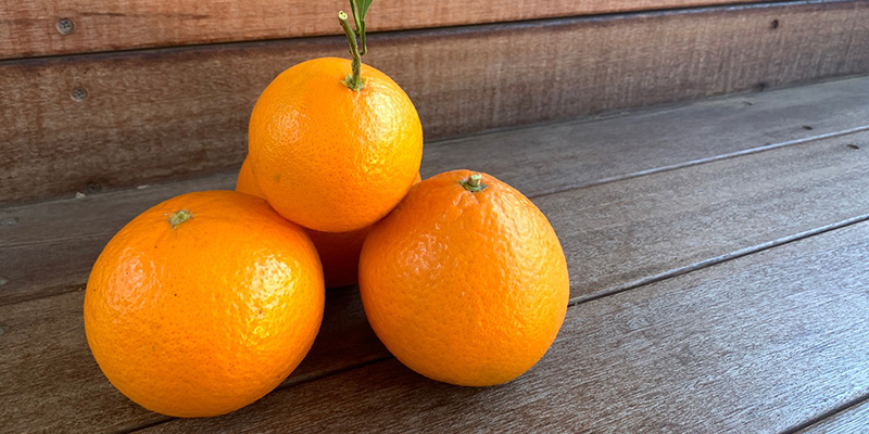 【東京都あきる野市】秋川渓谷産”清見オレンジ”を使用したクラフトビールを醸造!農薬不使用ならではの贅沢な味わい。